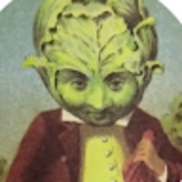 sirsparrow